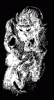 kelasuf
