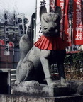kitsune